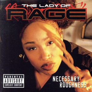 【輸入盤】Necessary Roughness