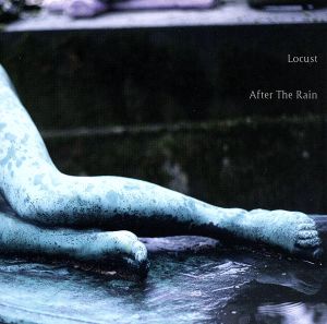 【輸入盤】After the Rain