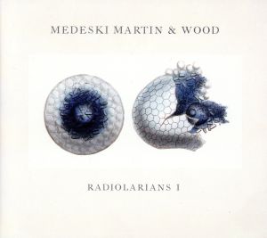 【輸入盤】Radiolarians 1