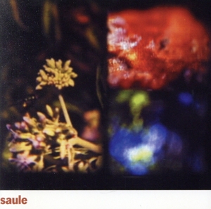 【輸入盤】Saule