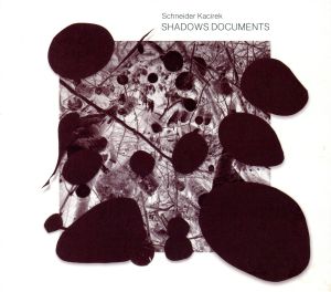 【輸入盤】Shadows Document