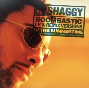 【輸入盤】In the Summertime