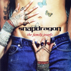 【輸入盤】Family Jewels