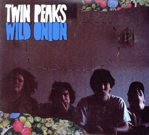 【輸入盤】Wild Onion