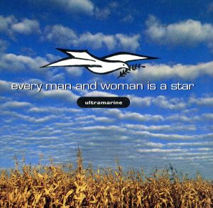 【輸入盤】Every Man & Woman Is a Star