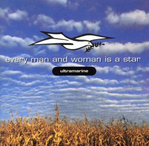 【輸入盤】Every Man & Woman Is A Star