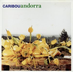 【輸入盤】Andorra