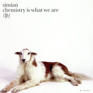 【輸入盤】Chemistry Is What We Are