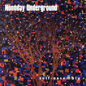 【輸入盤】Self-Assembly