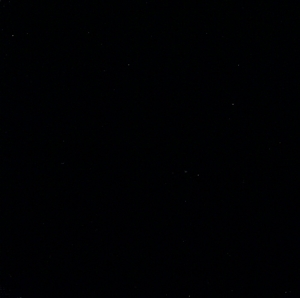 【輸入盤】The Black Album