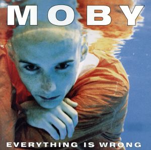 【輸入盤】Everything Is Wrong