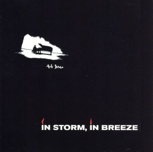 【輸入盤】In Storm in Breeze