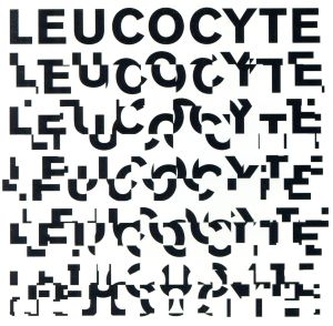 【輸入盤】Leucocyte