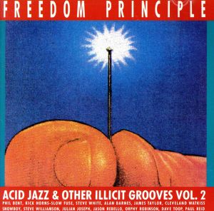 【輸入盤】Acid Jazz & Other Illicit Grooves