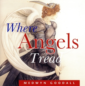 【輸入盤】Where Angels Tread