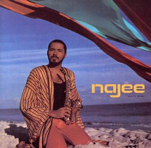 【輸入盤】Najee's Theme