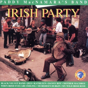 【輸入盤】Irish Party