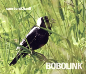 【輸入盤】Bobolink