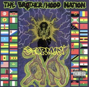 【輸入盤】Stormin'