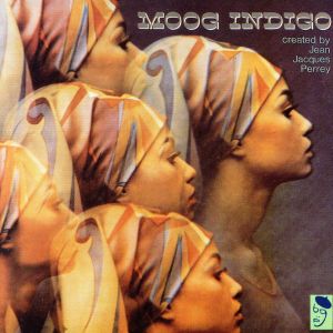 【輸入盤】Moog Indigo