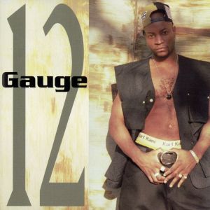 【輸入盤】12 Gauge