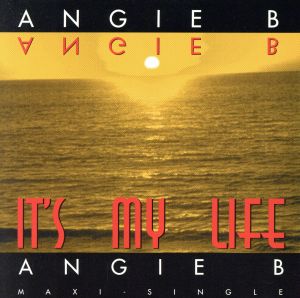 【輸入盤】It's My Life