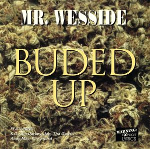 【輸入盤】Buded Up