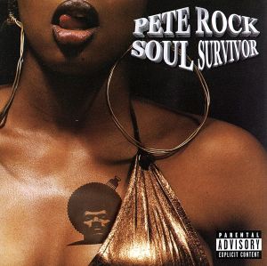 【輸入盤】Soul Survivor