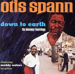 【輸入盤】Down to Earth: Bluesway Recordings
