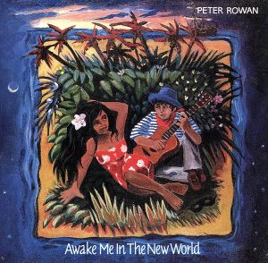 【輸入盤】Awake Me in the New World