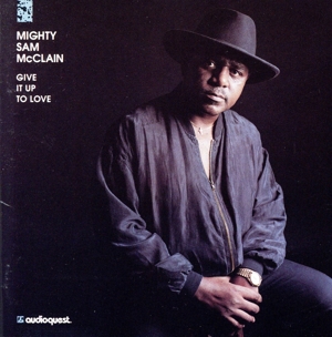 【輸入盤】Give It Up to Love