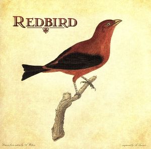 【輸入盤】Redbird
