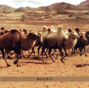 【輸入盤】Kete Kuf