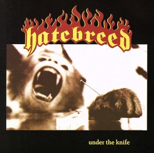 【輸入盤】Under the Knife