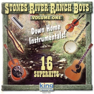 【輸入盤】Down Home Instrumentals 1