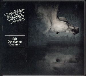 【輸入盤】Self Developing Country