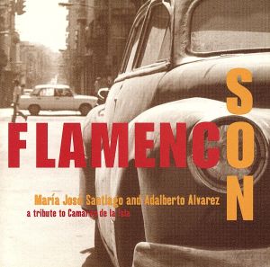 【輸入盤】Flamenco Son