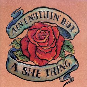 【輸入盤】Aint Nuthin But..