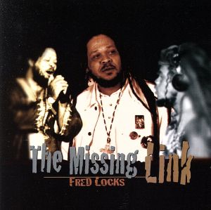 【輸入盤】Missing Link