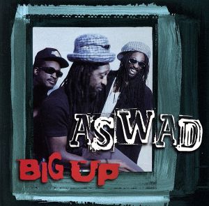 【輸入盤】Big Up