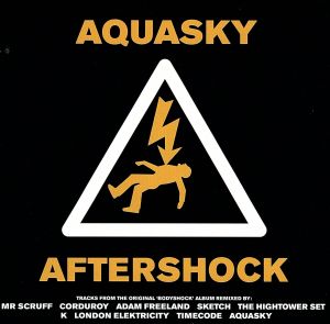 【輸入盤】Aftershock