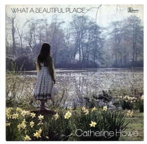 【輸入盤】What a Beautiful Place