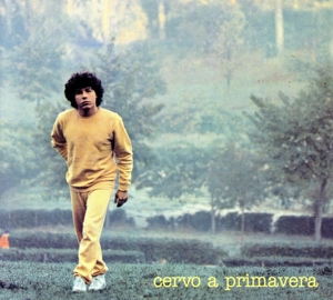 【輸入盤】Cervo a Primavera