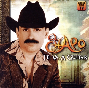 【輸入盤】Te Va a Gustar