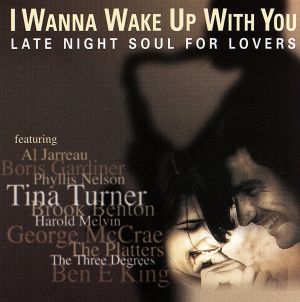 【輸入盤】I Wanna Wake Up With You