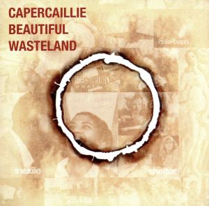 【輸入盤】Beautiful Wasteland