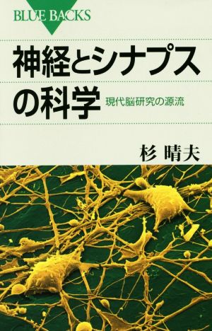 神経とシナプスの科学 現代脳研究の源流 ブルーバックス