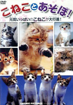 こねことあそぼ！ 中古DVD・ブルーレイ | ブックオフ公式オンラインストア