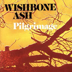 【輸入盤】Pilgrimage