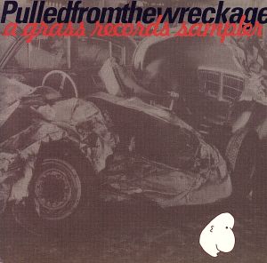 【輸入盤】Pulled From the Wreckage
